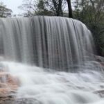 Sydney: Blue Mountains National Park Tour with River Cruise - Pricing and Value