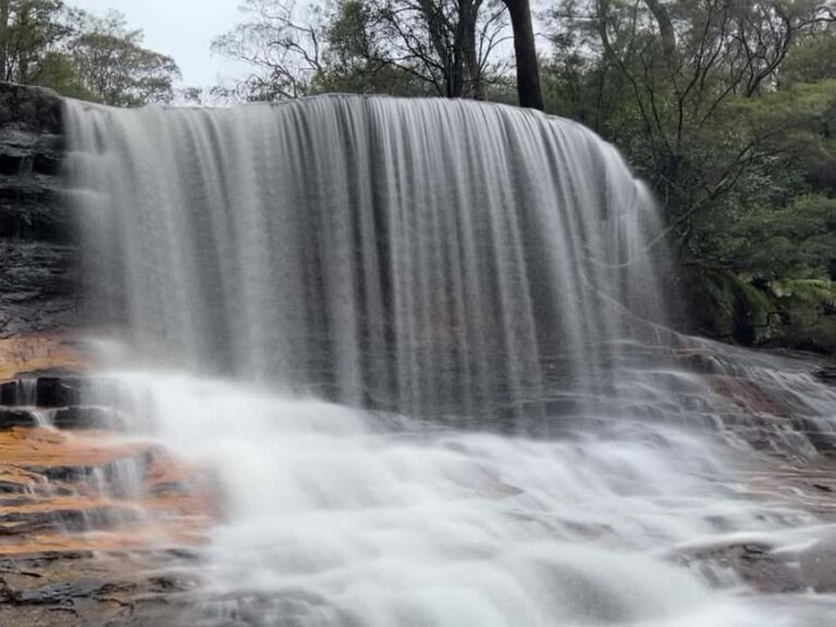 Sydney: Blue Mountains National Park Tour with River Cruise - Pricing and Value