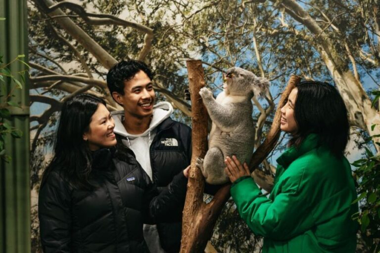 Sydney: Blue Mountains Wildlife & Bushwalk Small-Group Tour - Who Should Consider This Tour?