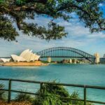 Sydney Combo: Morning Sightseeing to Bondi & Harbour Lunch Cruise - Who Will Love This Tour?