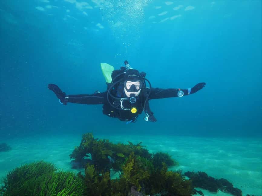 Sydney: Discover Scuba Dive at Australia's most Iconic Beach - Exploring the Bondi Discover Scuba Experience