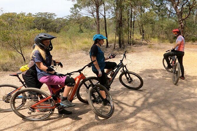 Sydney Electric Mountain Bike Guided Tour - Authentic Insights from Riders