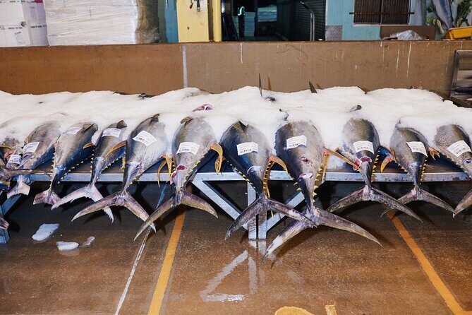 Sydney Fish Market Behind the Scenes Walking Tour - Final Thoughts