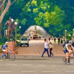 Sydney Full Day Private City Harbour Coastal Adventure - Why This Tour Works Well for Travelers