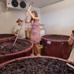 Sydney Grains and Grapes Hunter Valley Wine and Beer with Lunch - A Deeper Look at the Hunter Valley Experience