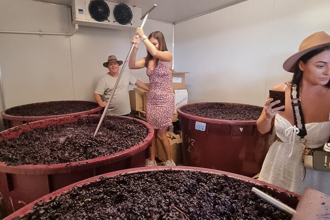 Sydney Grains and Grapes Hunter Valley Wine and Beer with Lunch - A Deeper Look at the Hunter Valley Experience