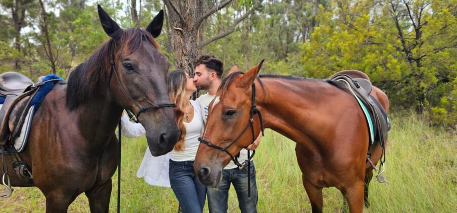 Sydney: Guided 2-Hour Horseback Picnic Tour - Detailed Breakdown of the Itinerary