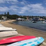 Sydney Half Day Luxury Private Tour - Who Will Love This Tour?