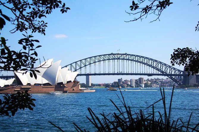 Sydney Half Day Private Tour: See Sydney Opera House and Bondi - Final Thoughts on the Sydney Half Day Private Tour