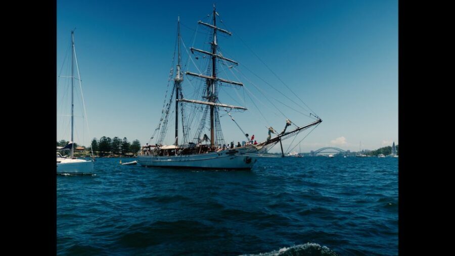 Sydney: Harbor Sunset Cruise with Dinner - Why Choose This Cruise?