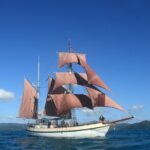 Sydney Harbour Tall Ship Whale & Sail - Whale Watching Cruise - Whale Watching: When and What You’ll See