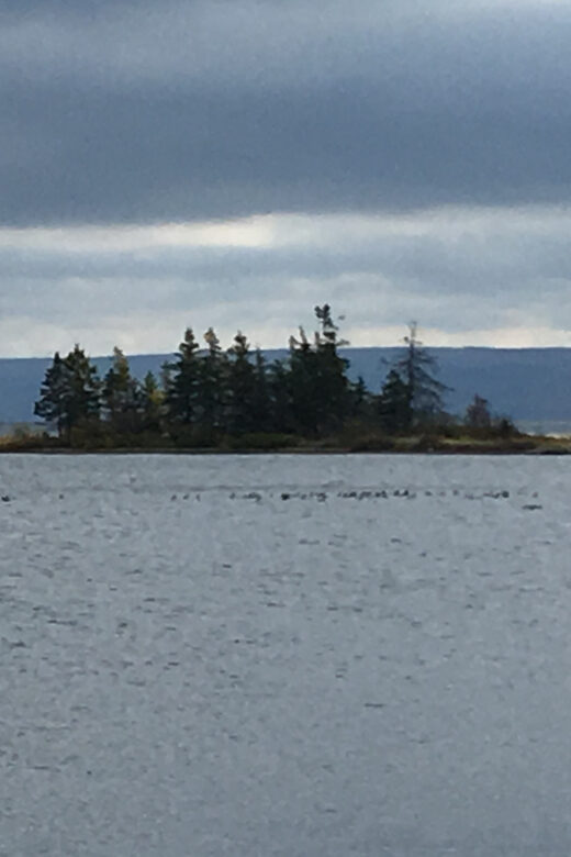 Sydney: Highland Village & Bell Museum Cruise Excursion