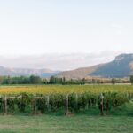Sydney Hunter Valley Private Wine Tour with Tastings and Lunch - Authentic Experiences and Authentic Guides
