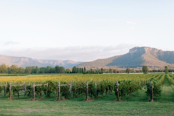 Sydney Hunter Valley Private Wine Tour with Tastings and Lunch - Authentic Experiences and Authentic Guides