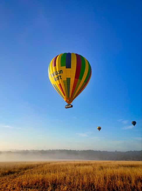 Sydney: Hunter Valley Sunrise Balloon Flight with Transfer - Why This Tour Offers Great Value