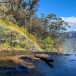 Sydney: Luxury Blue Mountains Adventure as a Small Group Day Tour - Practical Considerations
