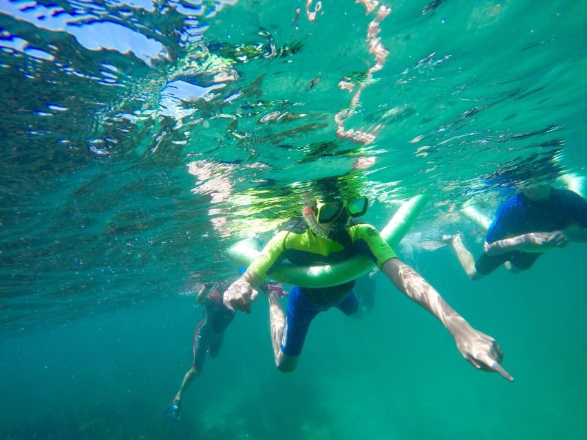 Sydney: Manly and Shelly Beach Snorkeling Tour - Exploring the Full Experience: What to Expect at Each Step