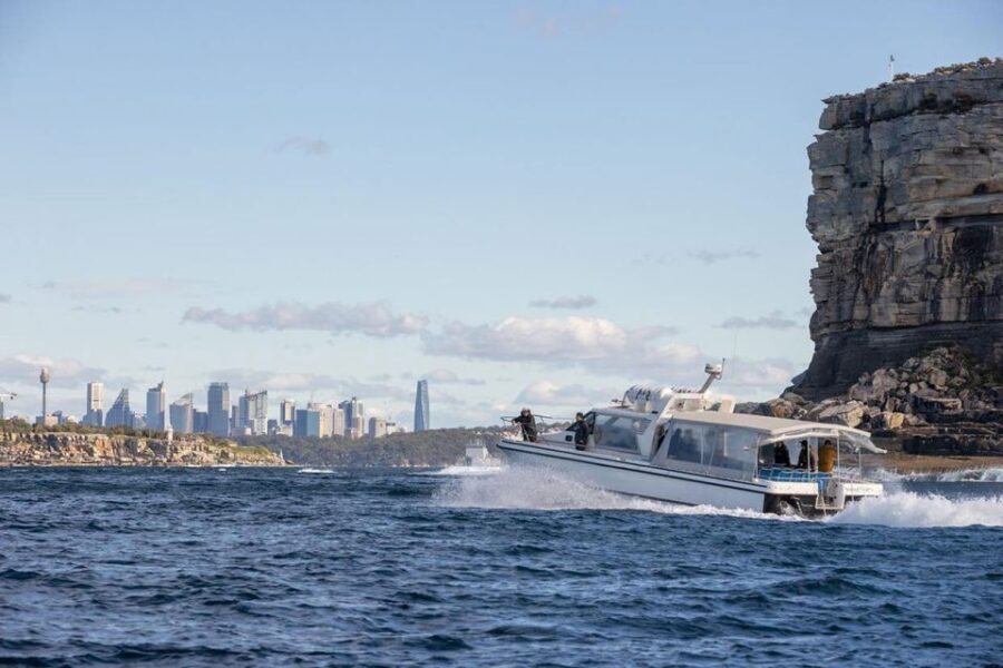 Sydney: Ocean Whale Watching Experience - The Sum Up