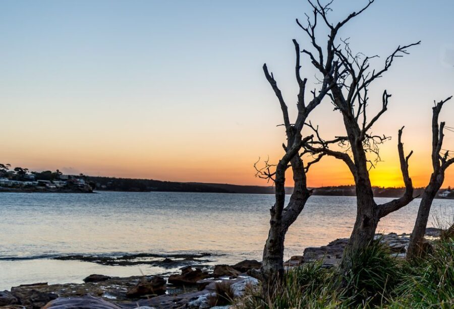 Sydney: Sea Cliff Bridge, Kiama Blowhole and Farmlands Tour - A Closer Look at the Itinerary and Experiences