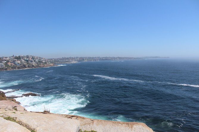 Sydney Shore Excursion: Half-Day Sydney City Highlights with Bondi Beach and Watsons Bay - What Travelers Say: Authentic Perspectives