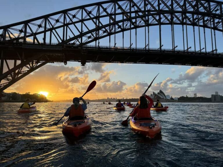 Sydney: Sunrise Kayak, Opera House & Under Harbour Bridge - Itinerary Breakdown: What You Can Expect