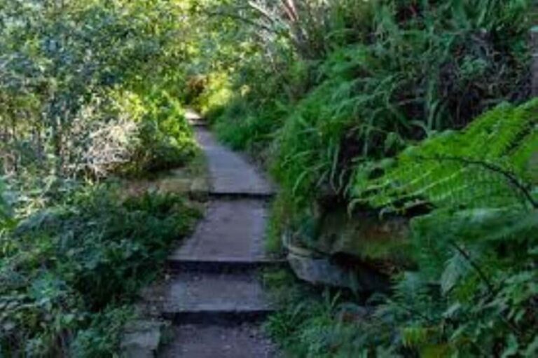 Sydney: Taronga to Balmoral hike with Picnic and painting - The Final Destination: Balmoral Beach