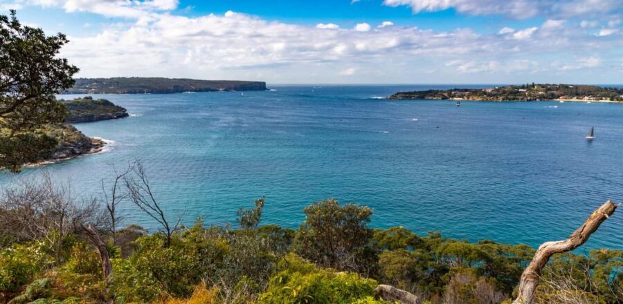 Sydney: Taronga to Balmoral Walk with picnic at Balmoral - The Value of This Experience