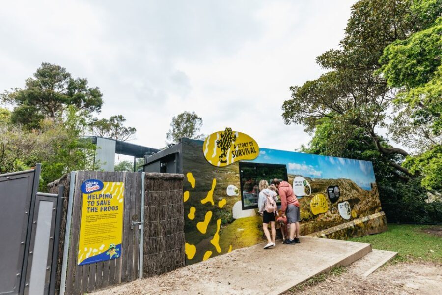 Sydney: Taronga Zoo Tickets - An In-Depth Look at What to Expect