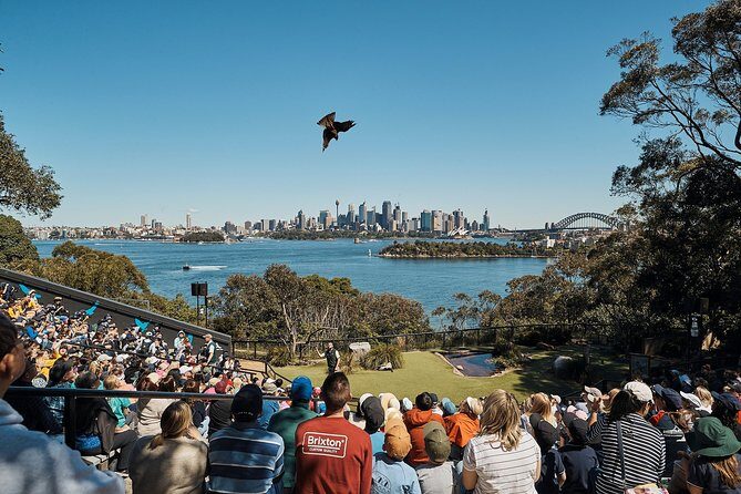 Sydney Taronga Zoo's Aussie Backyard Adventure Tour - Frequently Asked Questions