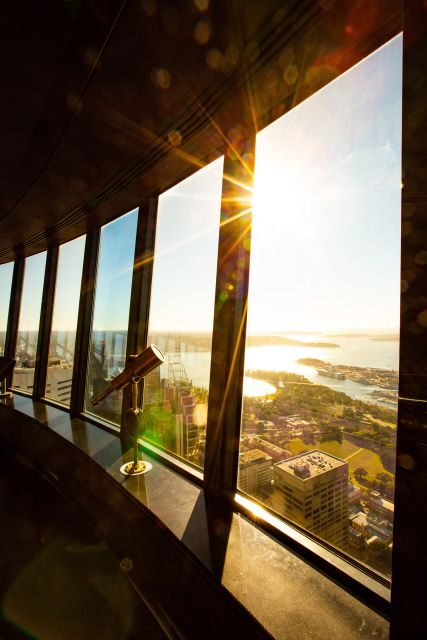 Sydney Tower Eye: Entry with Observation Deck - The Experience: What to Expect at Sydney Tower Eye
