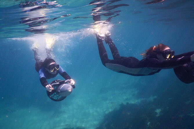 sydney underwater scooter tours - Why This Tour Might Be Perfect for You