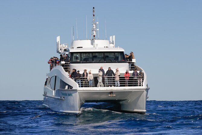 Sydney Whale Watching - 2.5hr Discovery Cruise - Who Will Love This Tour?