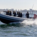 Sydney Whale Watching on Small RIB - The Whale-Watching Segment