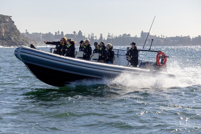 Sydney Whale Watching on Small RIB - The Whale-Watching Segment