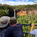 Sydney: Wildlife, Waterfalls and Wine Small Group Tour - A detailed look at this nature and wildlife adventure