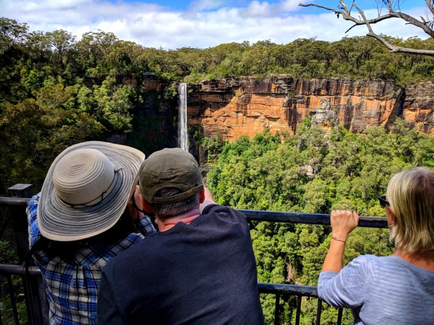 Sydney: Wildlife, Waterfalls and Wine Small Group Tour - A detailed look at this nature and wildlife adventure
