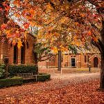 Sydney Wine Tasting-Southern Highlands with Pick up & drop off - Authentic Experiences and Real Traveler Insights