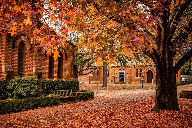 Sydney Wine Tasting-Southern Highlands with Pick up & drop off - Authentic Experiences and Real Traveler Insights