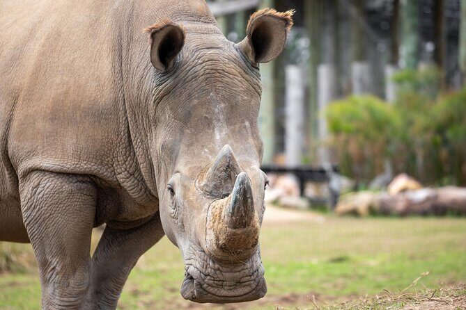 Sydney Zoo General Entry Admission Ticket - Who Should Visit Sydney Zoo?