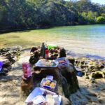 Sydney's Middle Harbour Sea Kayaking Eco Tour (Fully Guided) - The Itinerary: What To Expect