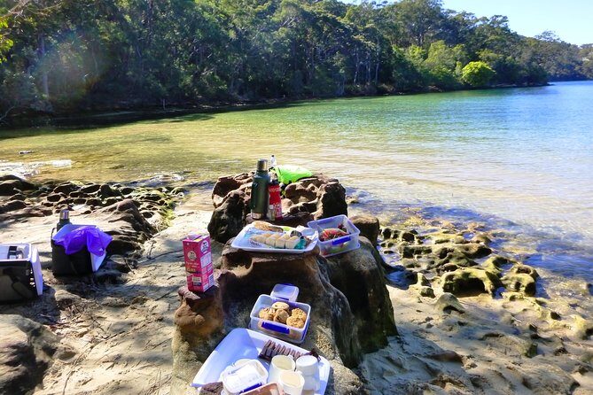 Sydney's Middle Harbour Sea Kayaking Eco Tour (Fully Guided) - The Itinerary: What To Expect