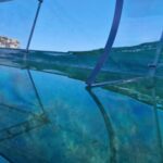 Syracuse: Coast and Sea Caves Full Transparent Boat Tour - The Sum Up: Who Should Consider This Tour?
