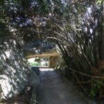 Syracuse: Neapolis Archaeological Park Small Group Tour - Who Should Consider This Tour?