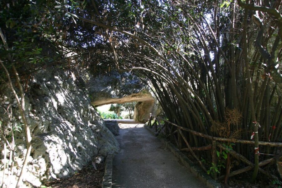 Syracuse: Neapolis Archaeological Park Small Group Tour - Who Should Consider This Tour?