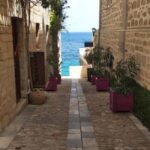 Syros: Food Walking Tour - Who Will Love This Tour?