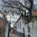 Szentendre: Half-Day Private Tour from Budapest - The Practical Details: What It Means for You