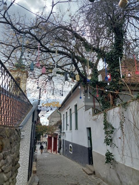 Szentendre: Half-Day Private Tour from Budapest - The Practical Details: What It Means for You