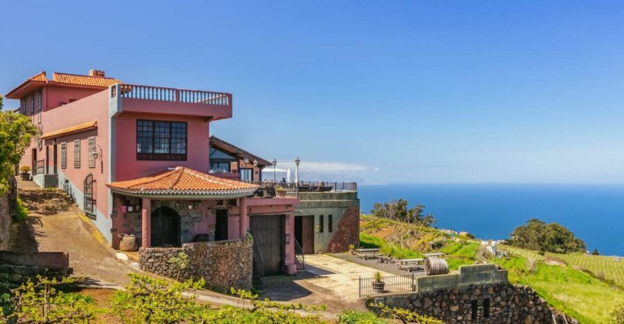 Tacoronte: Guided Winery Tour with Wine and Cheese Tastings - An In-Depth Look at the Bodegas Monje Winery Tour