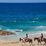 Tacos and Horseback Riding at Migriño beach - The Scenery and Wildlife: Why It Matters