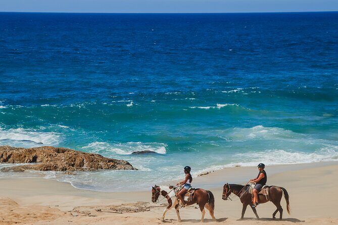 Tacos and Horseback Riding at Migriño beach - The Scenery and Wildlife: Why It Matters